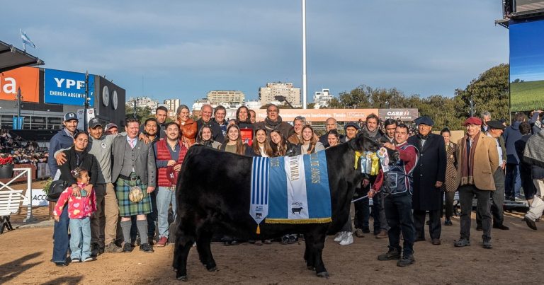 "Flor de madre": una vaca se coronó por segundo año consecutivo Gran Campeón Hembra Angus de la Expo Rural de Palermo