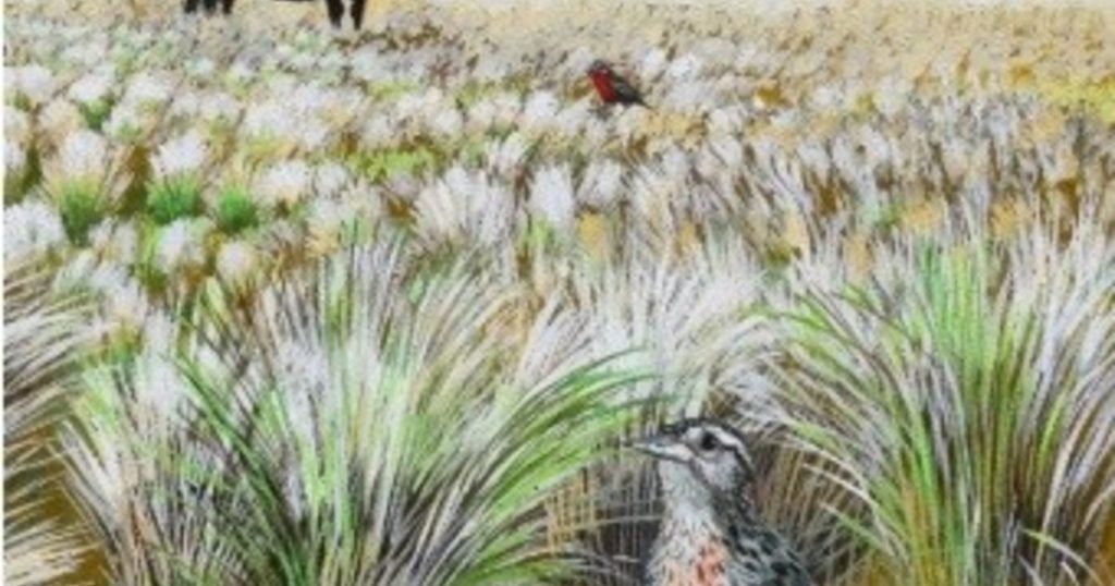Aves, ambiente y producción responsable