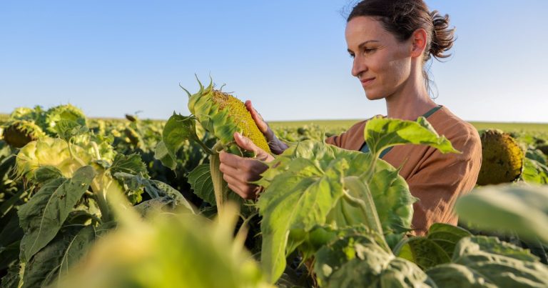 “Las otras plagas”: la campaña de Syngenta que propone cambiar el paradigma de la comunicación en el agro