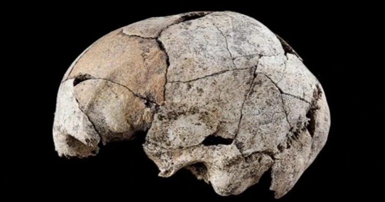 Encontraron un cráneo con una operación de oídos hecha hace 6.000 años