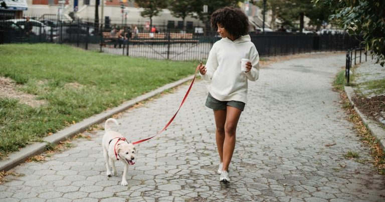 Por qué caminar todos los días mejora tu salud y tu mente