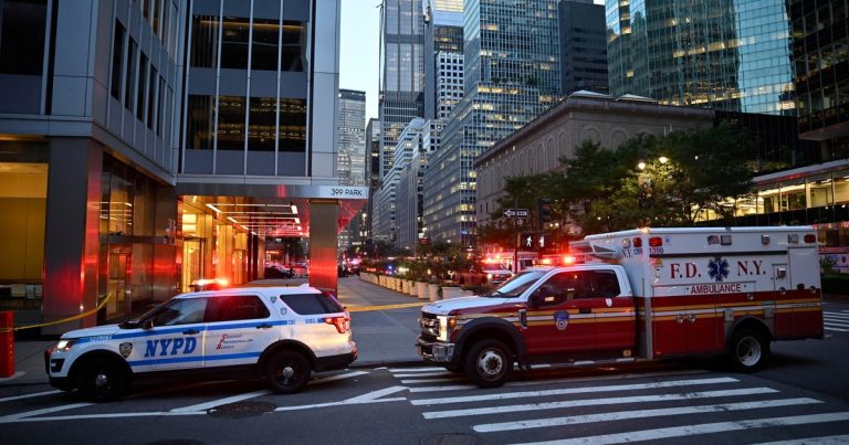 Nueva regla de conducción llega a Nueva York: de qué se trata
