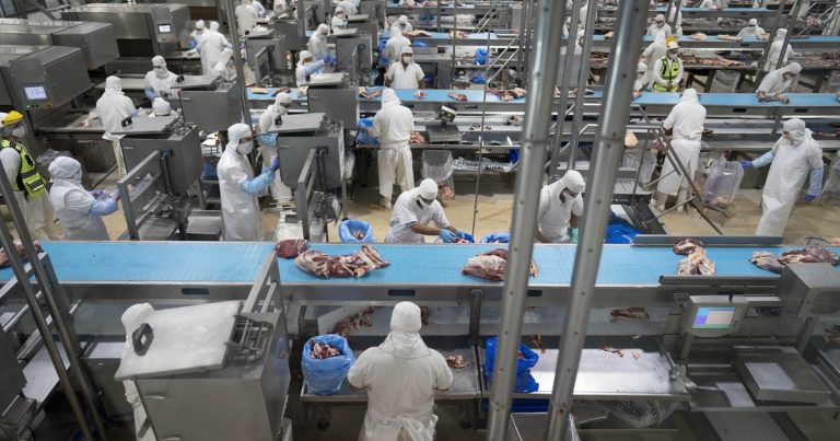 Para el segundo semestre proyectan una mejora en las exportaciones de carne: los motivos
