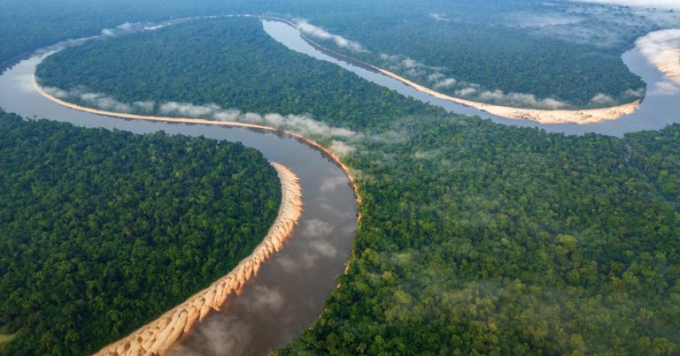 Crónica de un crucero por el Amazonas peruano: antes de embarcar, los servicios a bordo, las excursiones para ver fauna y la visita a un chamán
