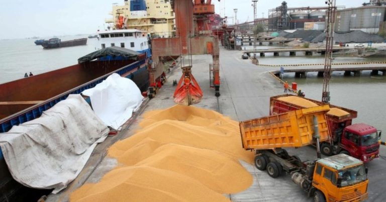 China vuelve al mercado: retoma compras de soja en Sudamérica y reaviva las apuestas por un nuevo acuerdo comercial con Estados Unidos