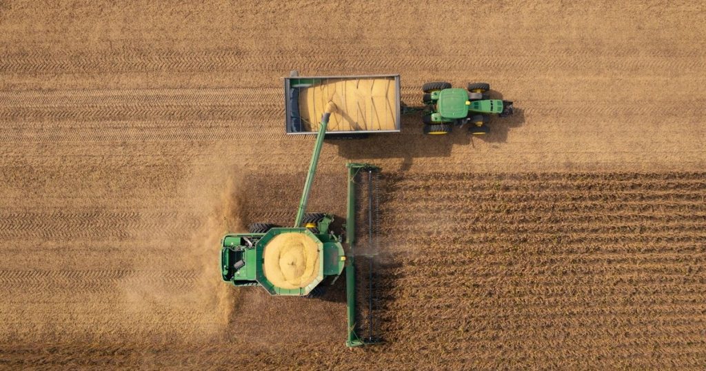 ¿El Gobierno se queda sin el colchón del agro? Advierten que el aporte de dólares para fin de año caería hasta cinco veces