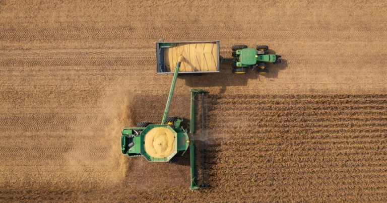 ¿El Gobierno se queda sin el colchón del agro? Advierten que el aporte de dólares para fin de año caería hasta cinco veces
