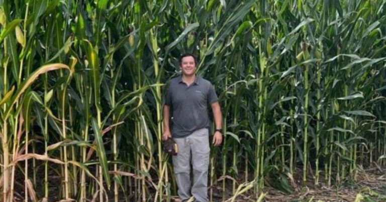 La transformación de una empresa familiar: diversificación, agregado de valor y ahora suma un cultivo atípico para la región