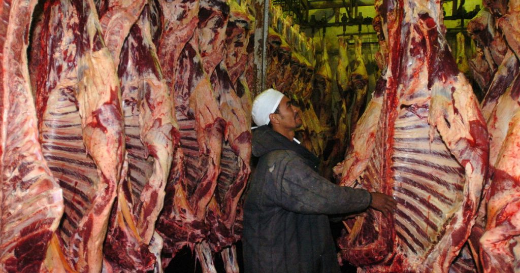 Pese a las trabas de Donald Trump, Brasil marcó un nuevo récord mensual en las exportaciones de carne vacuna