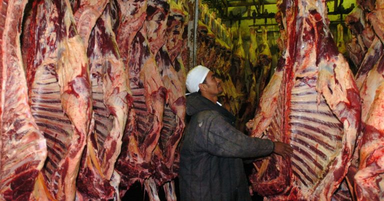 Pese a las trabas de Donald Trump, Brasil marcó un nuevo récord mensual en las exportaciones de carne vacuna