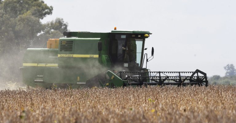 El aporte del campo hasta fin de año le permitirá al Gobierno recuperar solo lo que gastó en tres días para contener al dólar
