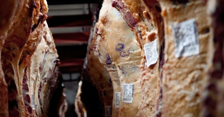 Los precios internacionales de la carne vacuna recuperan terreno y se acercan a los picos de 2022
