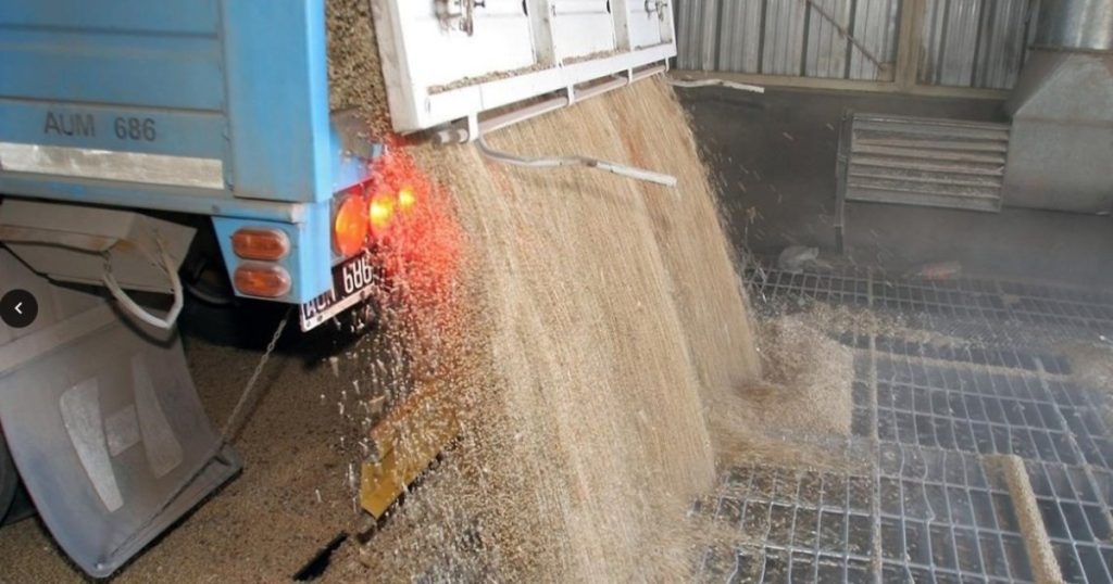 La harina de soja vuela: precios en máximos de siete meses y molienda argentina en su mejor nivel del año