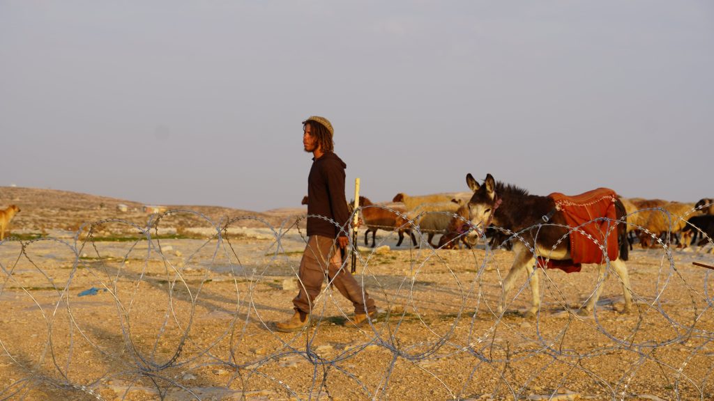 Palizas, incendios y robos: la violencia de los colonos israelíes alcanza cotas inéditas en Cisjordania