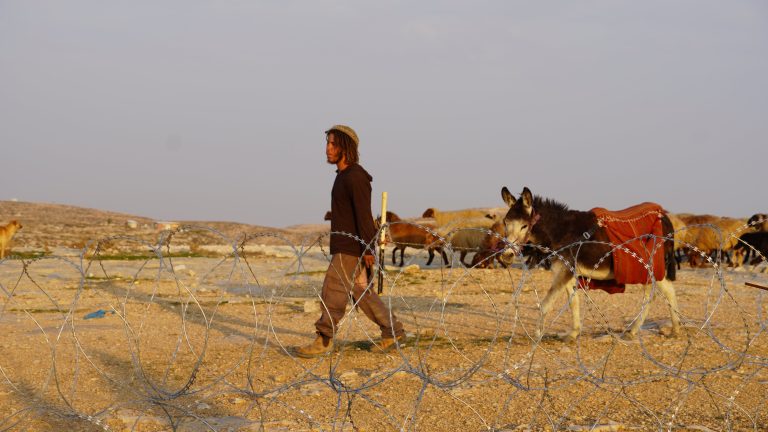 Palizas, incendios y robos: la violencia de los colonos israelíes alcanza cotas inéditas en Cisjordania