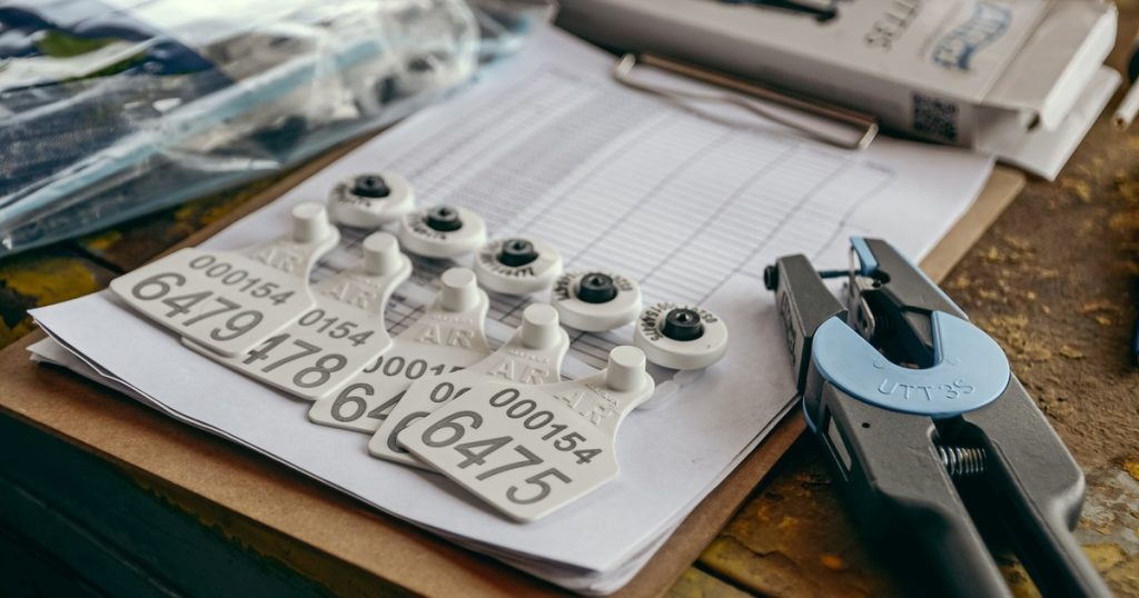 La trazabilidad electrónica llega al campo: Villanueva y Allflex están listos para abastecer a los productores