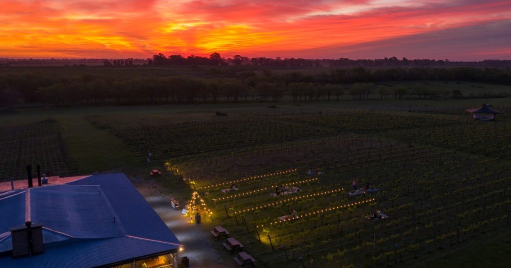 Se viene el vino más austral del mundo: inversores argentinos lanzan una bodega en Ushuaia
