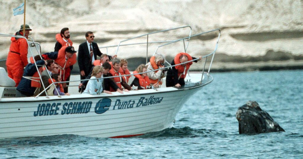 Lady Di y el recuerdo de la sonrisa más triste en el Sur