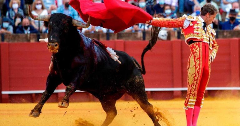 Qué significa soñar con los toros, según la psicología