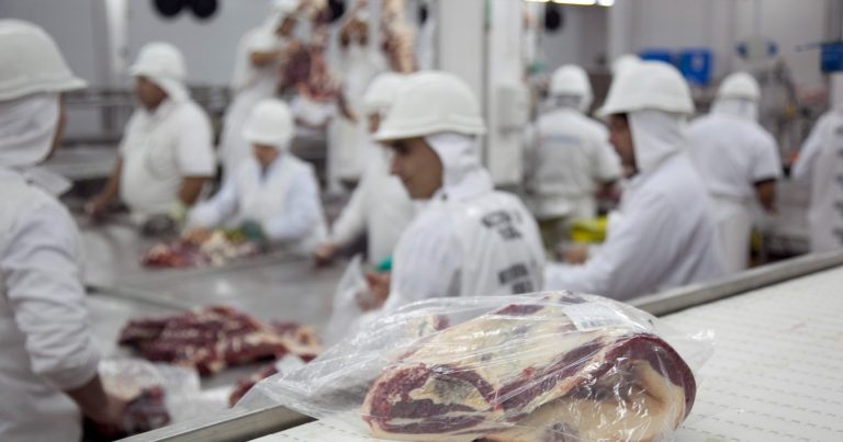Las exportaciones de carne alcanzarían los US$ 3.700 millones en 2025, el valor más alto de los últimos 15 años