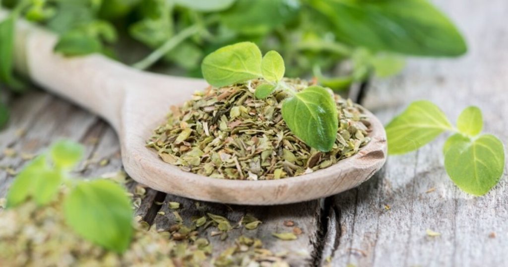 Cuáles son las propiedades curativas del orégano