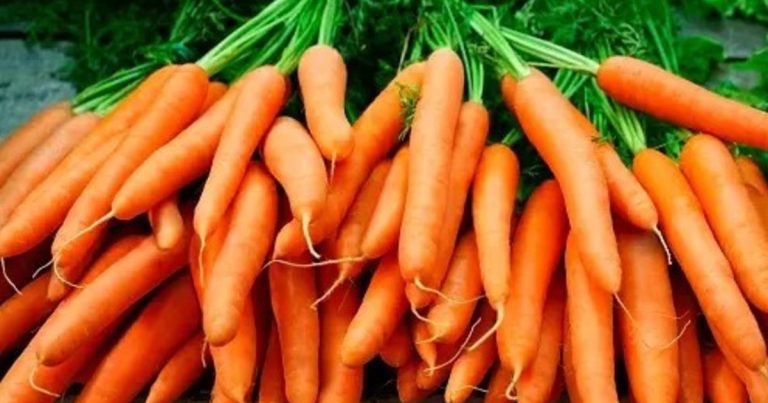 Licuar cáscara de zanahoria y bicarbonato: por qué recomiendan hacerlo y para qué sirve