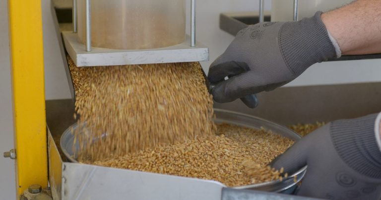 Harinas vegetales: más volumen, menos precio y un mercado global cada vez más presionado