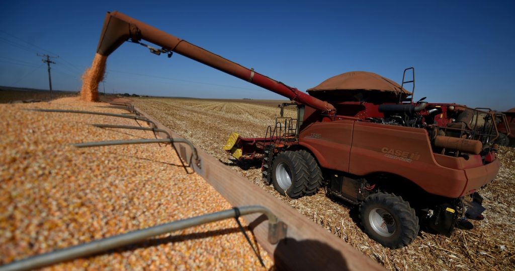 El etanol de maíz ya es uno de los motores de desarrollo del agro brasileño