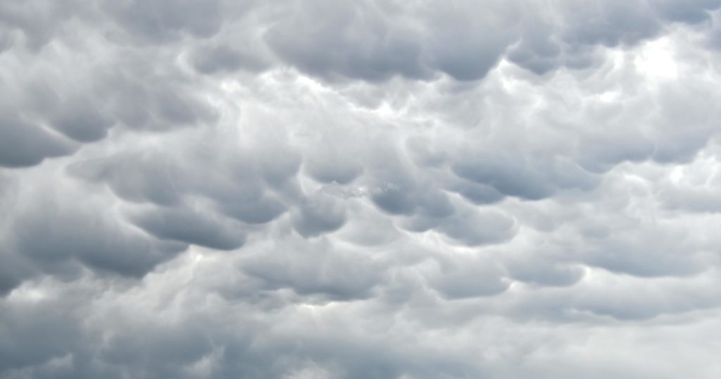 Clima hoy en New York, Estados Unidos: el pronóstico del tiempo para este martes 20 enero de 2026